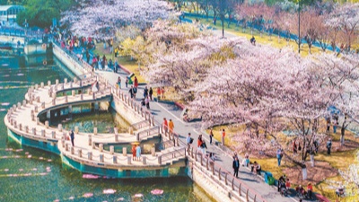 各地纷纷推进春日经济――不负好春光 深度游一场 - 游走吧旅游科普资讯网