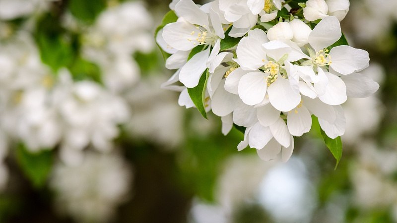 “微度假”走热 成假日消费新时尚 - 游走吧旅游科普资讯网