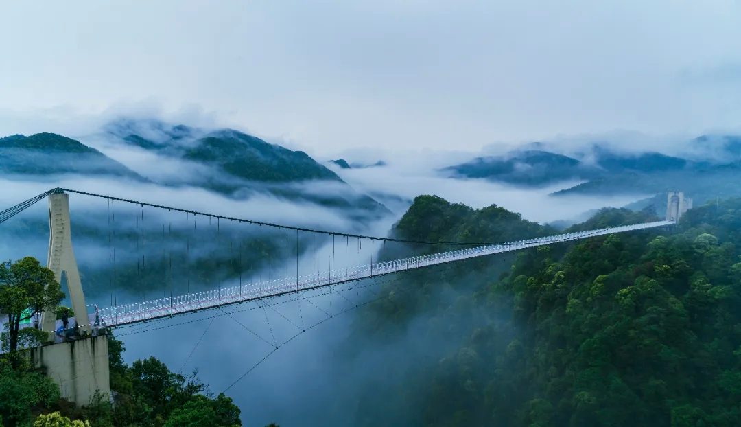 三百山发现多种珍稀野生动物(图1)