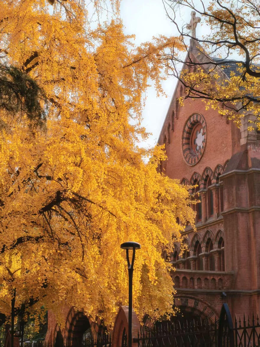 11月份上海适合旅游的地方都有哪些？都有哪些好玩的旅游景点和美..(图2)