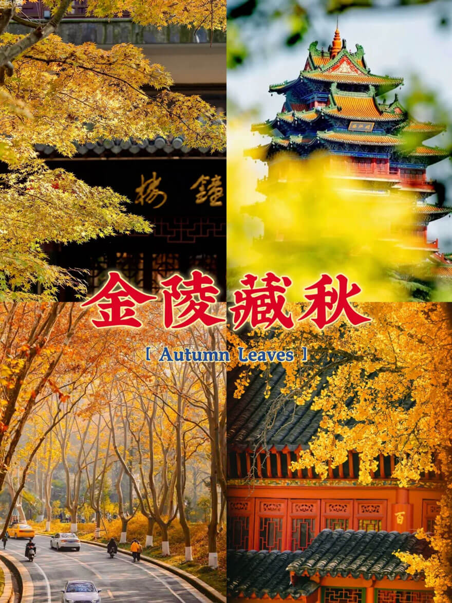 11月份江苏适合旅游的地方都有哪些？都有哪些好玩的旅游景点和美.. - 游走吧旅游科普资讯网