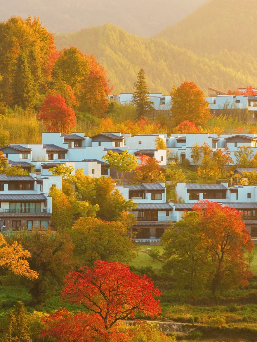 11月份安徽适合旅游的地方都有哪些？都有哪些好玩的旅游景点和 - 游走吧旅游科普资讯网