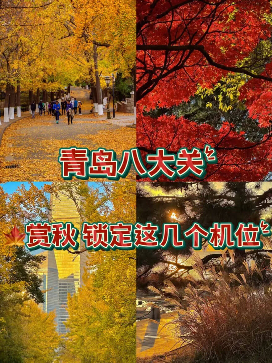 11月份山东适合旅游的地方都有哪些？都有哪些好玩的旅游景点和美..(图2)