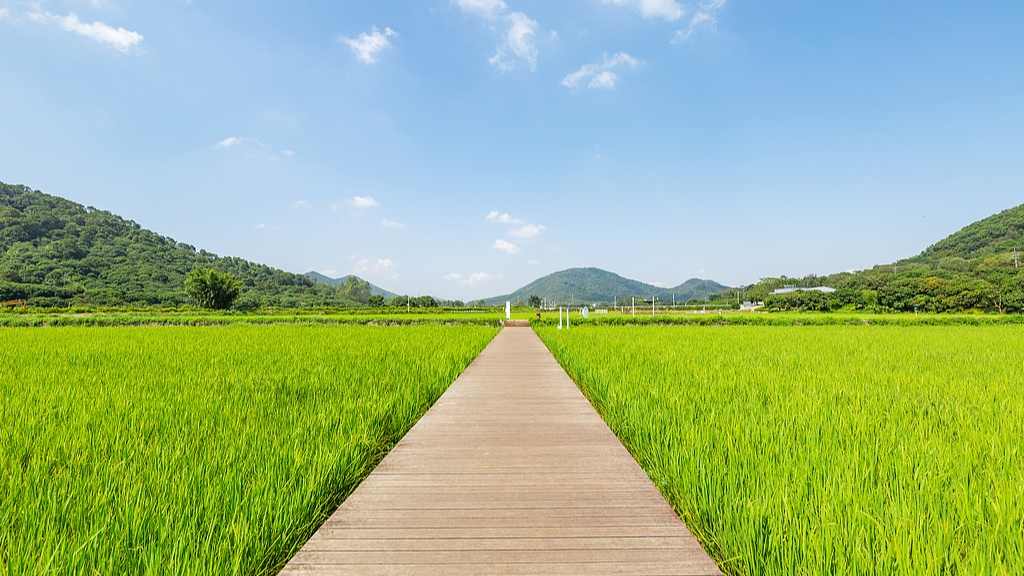 “五一”假期重识家乡成热潮 文旅“乡愁”中迎新机 - 游走吧旅游科普资讯网