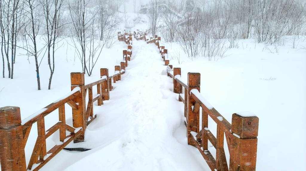 大雪真味 - 游走吧旅游科普资讯网