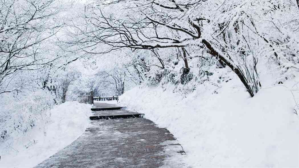 大雪 - 游走吧旅游科普资讯网