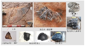 2024年度全国十大考古新发现结果公布(图1)