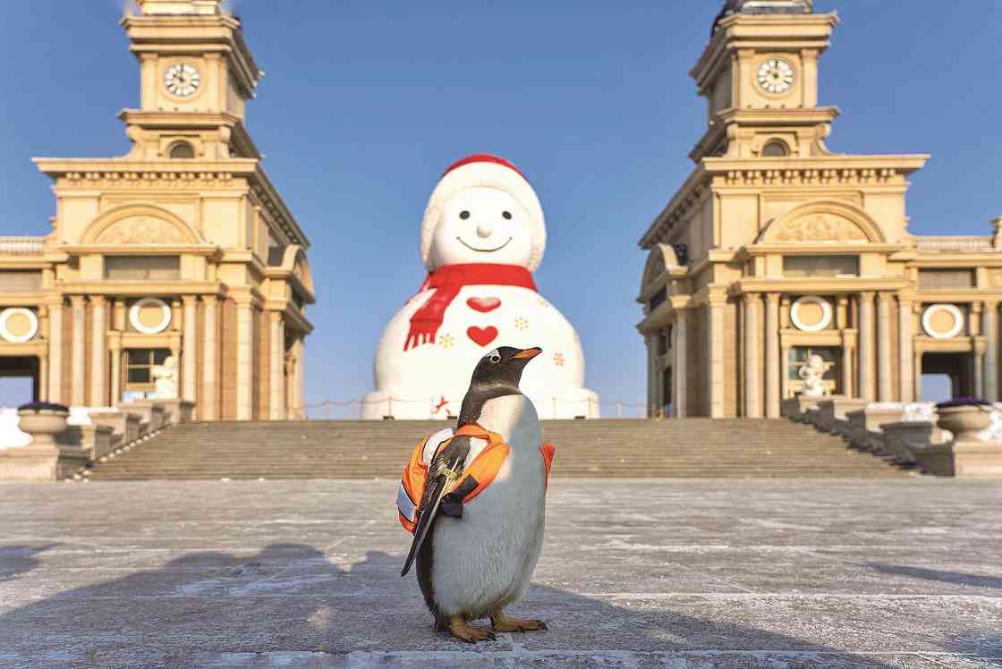 100天！“赏冰乐雪在龙江” - 游走吧旅游科普资讯网