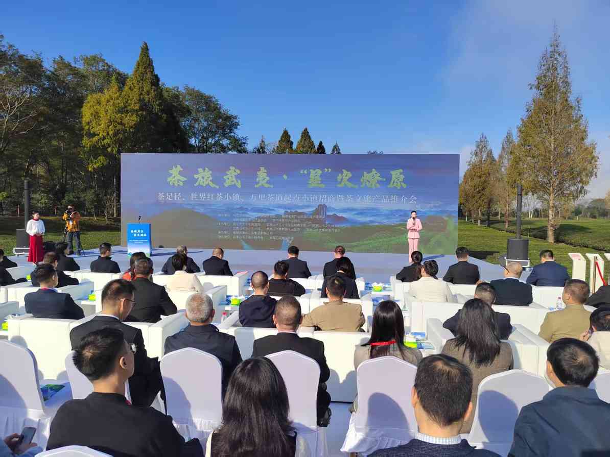福建武夷山开展茶文旅产品推介和项目招商(图1) 福建武夷山开展茶文旅产品推介和项目招商(图1)