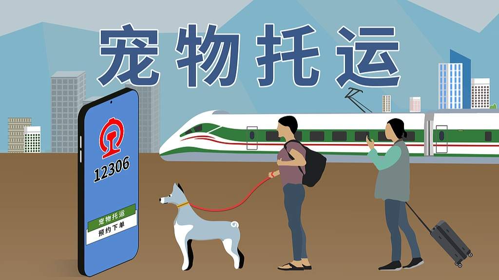 高铁宠物托运需至少提前2天预约 7折优惠价格 - 游走吧旅游科普资讯网