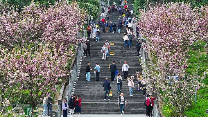 文旅消费升级带动“春游热” - 游走吧旅游科普资讯网