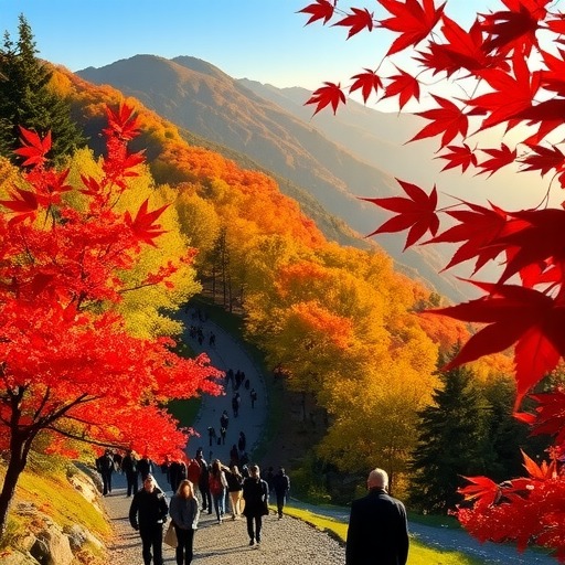 红叶有约 85万游客香山“追秋”(图2)