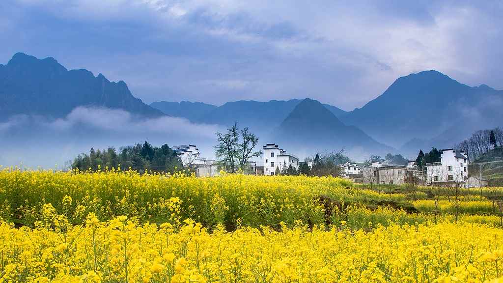 四月春浓花似海，“高铁 +” 丰富出游体验 - 游走吧旅游科普资讯网