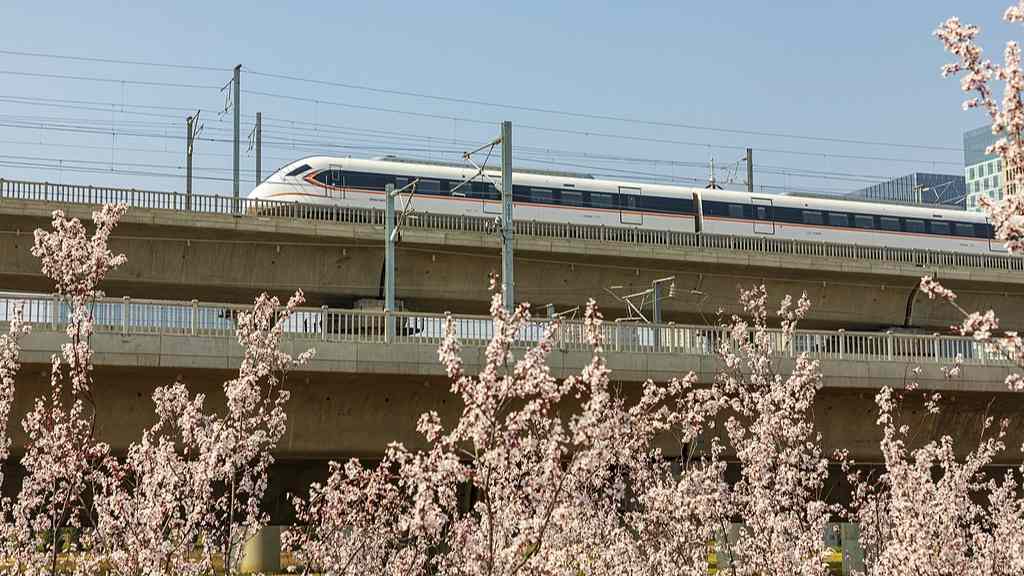 赏花经济：文旅融合下的产业升级新图景 - 游走吧旅游科普资讯网