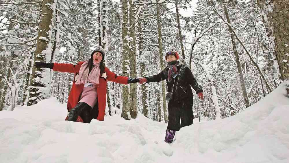 今冬冰雪旅游市场有多热 - 游走吧旅游科普资讯网