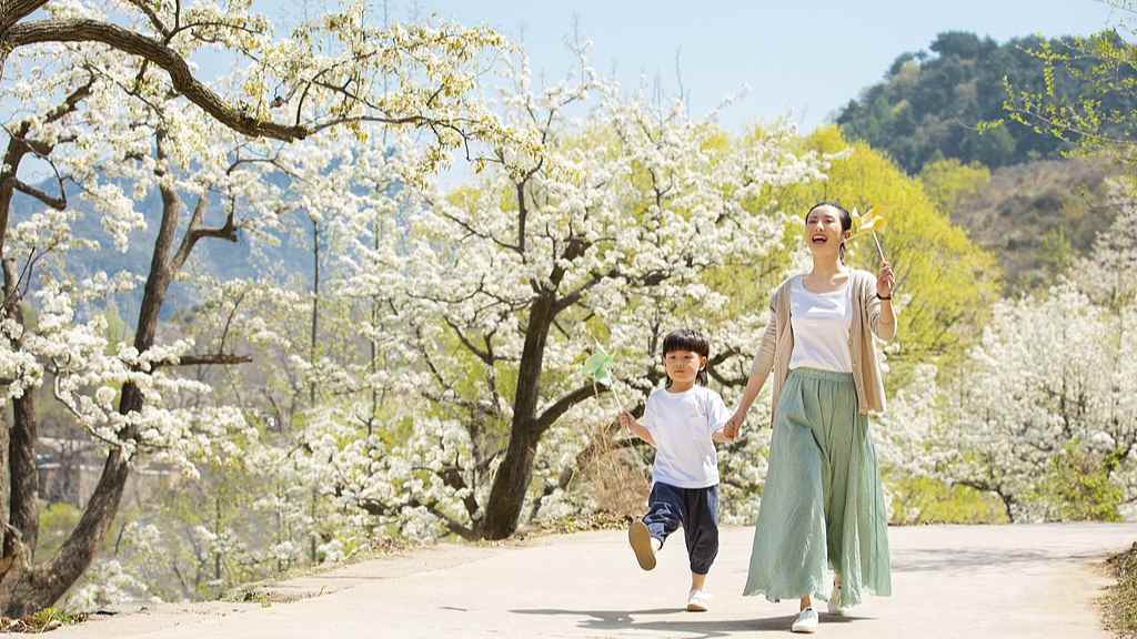 全国花式赏樱地图来了！十大胜地解锁春日赏