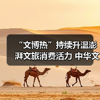 “文博热”持续升温澎湃文旅消费活力 中华文化魅力添彩“暑期经济”(图3)