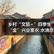 乡村“文旅+”四季生“金”兴业富农 水清岸绿绘就振兴新图景(图3)