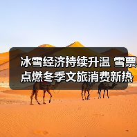 冰雪经济持续升温 雪票点燃冬季文旅消费新热潮(图4)