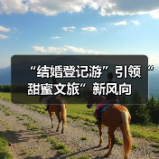“结婚登记游”引领“甜蜜文旅”新风向(图1)