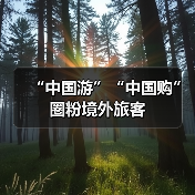 “中国游”“中国购”圈粉境外旅客(图4)