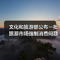 文化和旅游部公布一批旅游市场强制消费问题典型案例(图3)