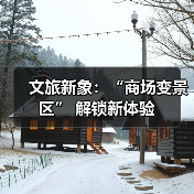 文旅新象：“商场变景区” 解锁新体验(图4)