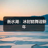 衡水湖：冰封鹤舞迎新年(图3)