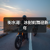 衡水湖：冰封鹤舞迎新年(图4)