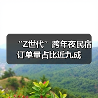 “Z世代”跨年夜民宿订单量占比近九成(图3)