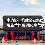 中消协：构建全链条信用监管体系 强化高危项目安全准入与动态监管(图4)