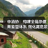 中消协：构建全链条信用监管体系 强化高危项目安全准入与动态监 - 游走吧旅游科普资讯网